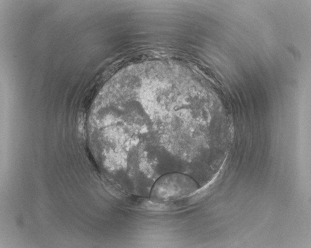 X0000115040178200912071117