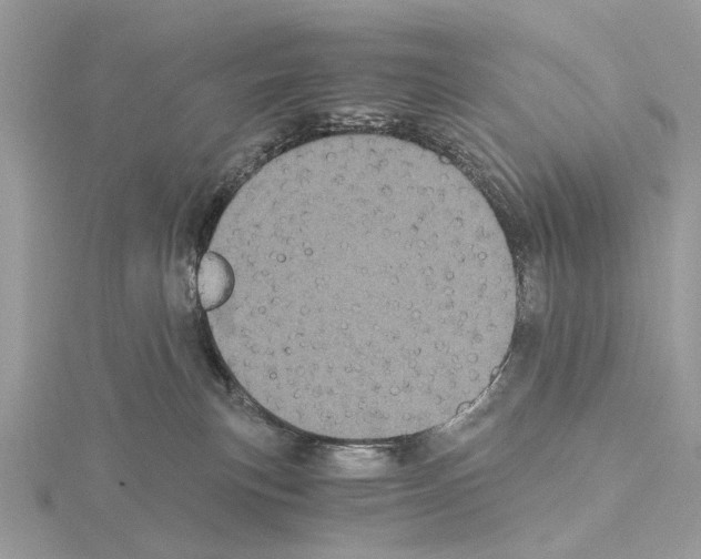 X0000115040183200912071117