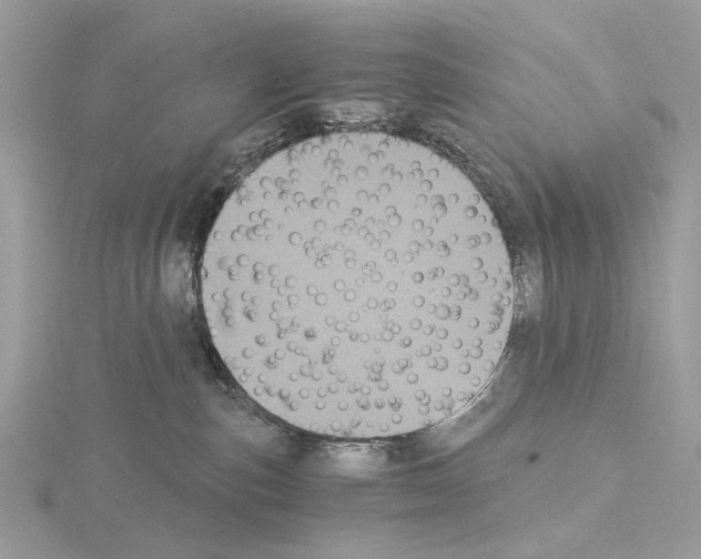 X0000115040187200912071117