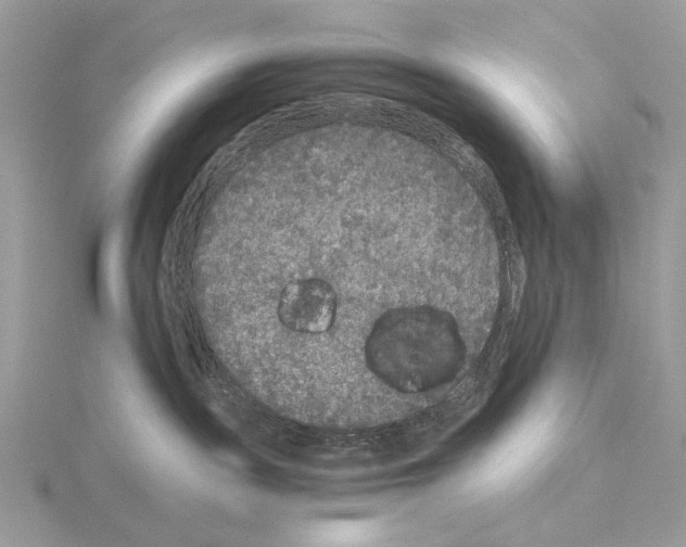 X0000115040189200912071117