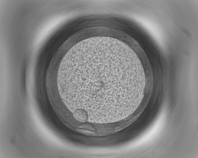 X0000115040191200912071117