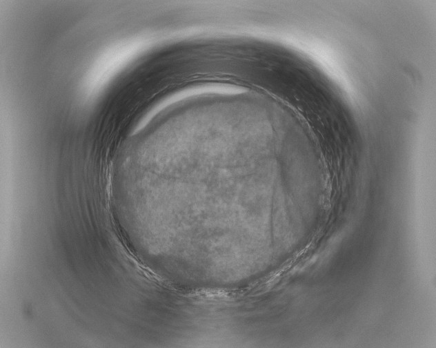 X0000115040194200912071116