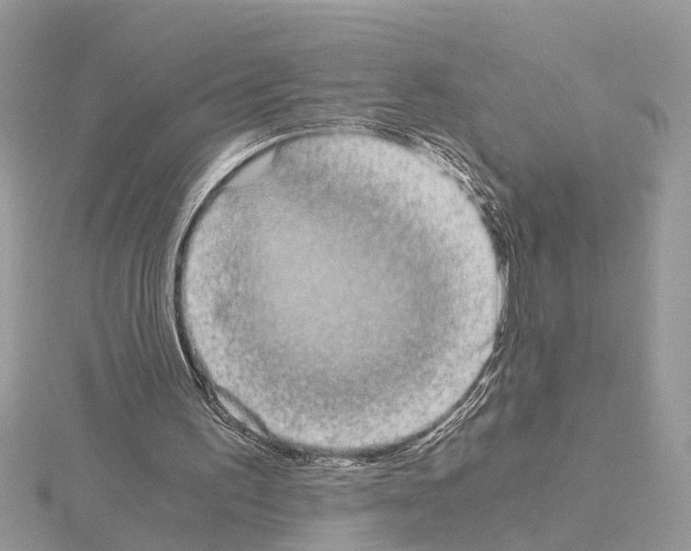 X0000115040195200912071116