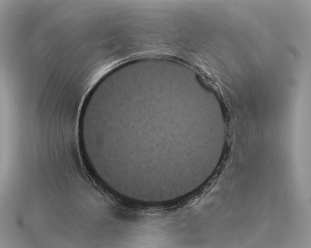 X0000115040196200912071116