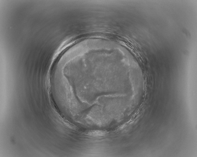 X0000115040198200912071116