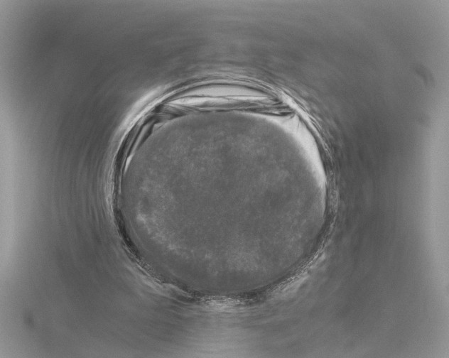 X0000115040199200912071116