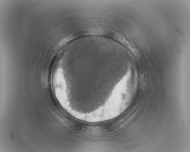 X0000115040203200912071116