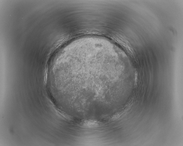 X0000115040206200912071116