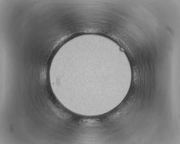 X0000115040208200912071116