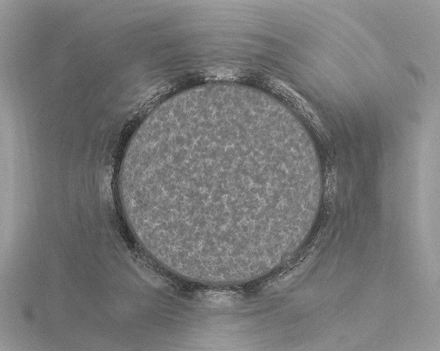 X0000115040209200912071116