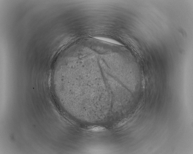 X0000115040210200912071116