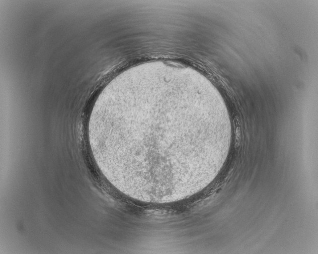 X0000115040211200912071116