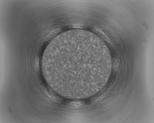 X0000115040213200912071116