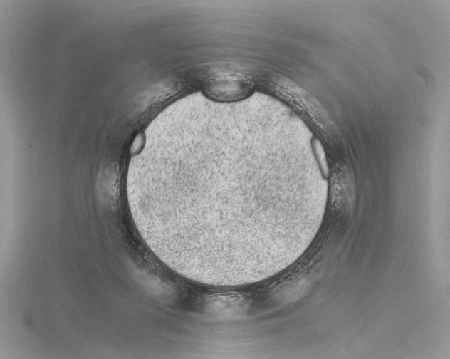 X0000115040215200912071116