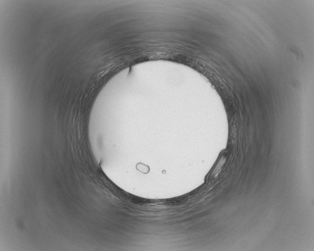 X0000115040219200912071116