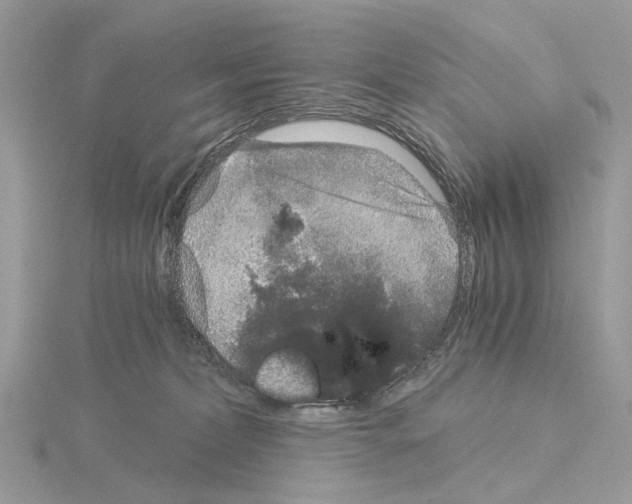 X0000115040228200912071116