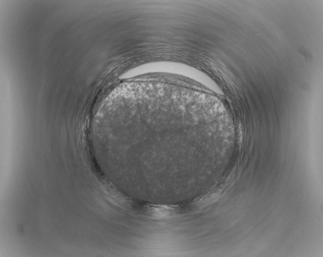 X0000115040229200912071116