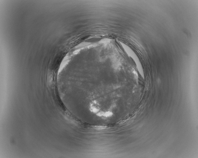 X0000115040233200912071116