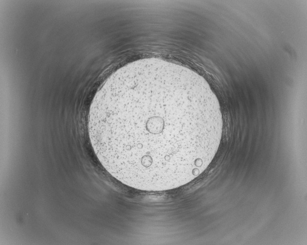 X0000115040236200912071116