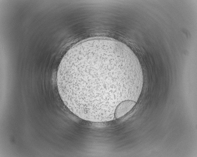 X0000115040240200912071116