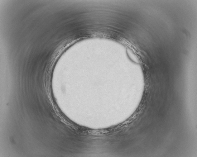 X0000115040241200912071115