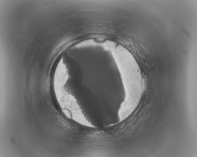 X0000115040243200912071115