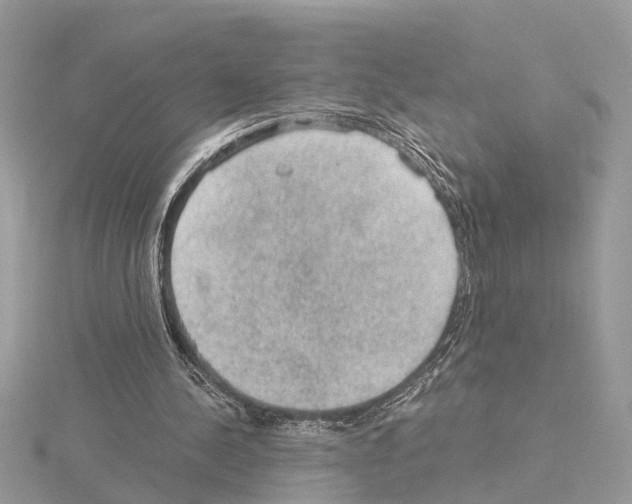 X0000115040244200912071115