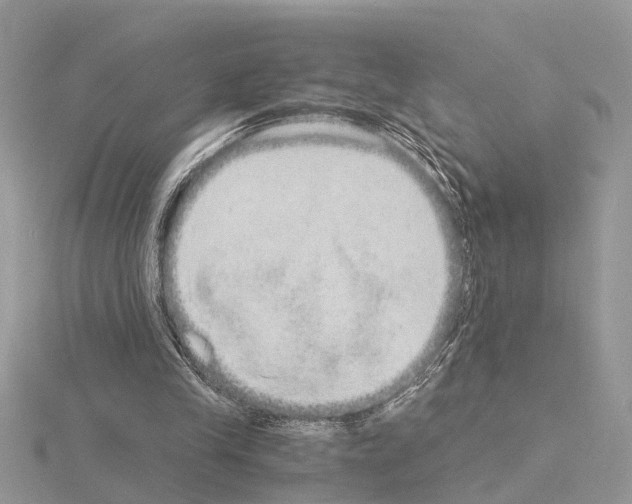 X0000115040245200912071115