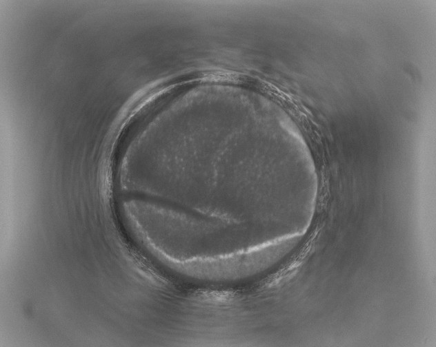 X0000115040247200912071115