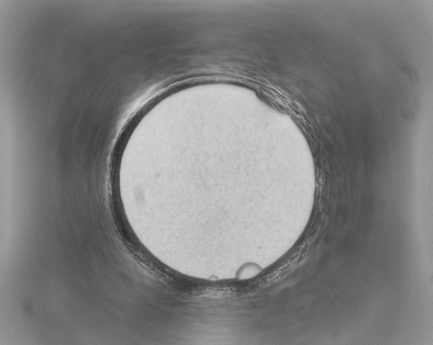 X0000115040248200912071115