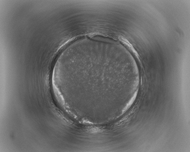 X0000115040249200912071115