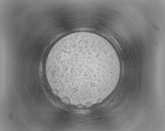 X0000115040251200912071115