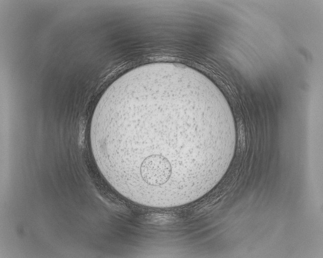 X0000115040255200912071115