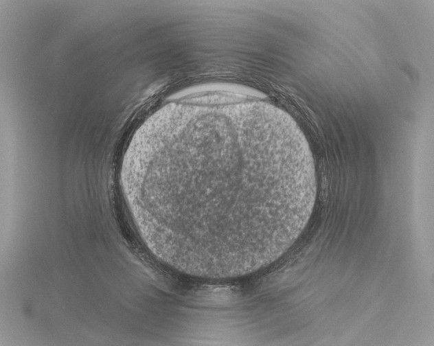 X0000115040260200912071115