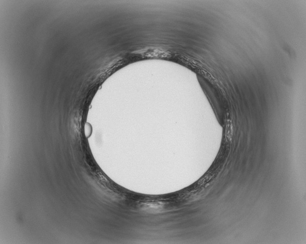 X0000115040263200912071115