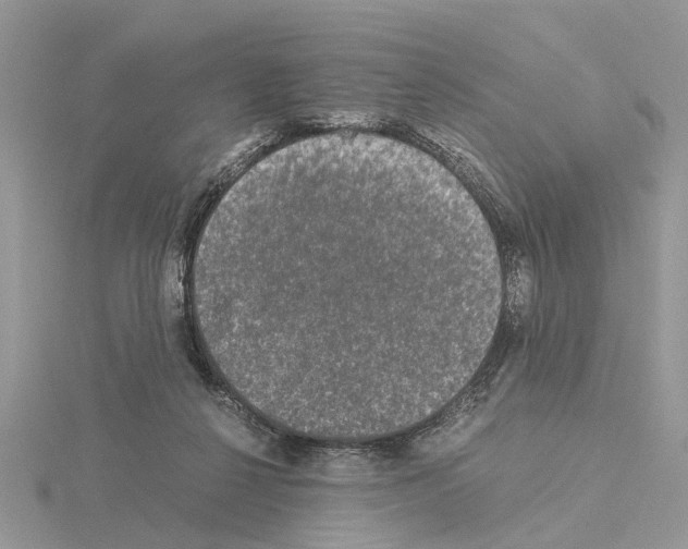 X0000115040264200912071115