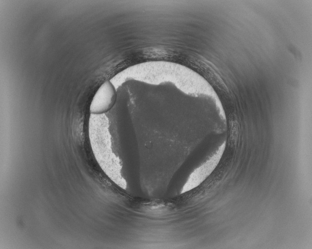 X0000115040267200912071115