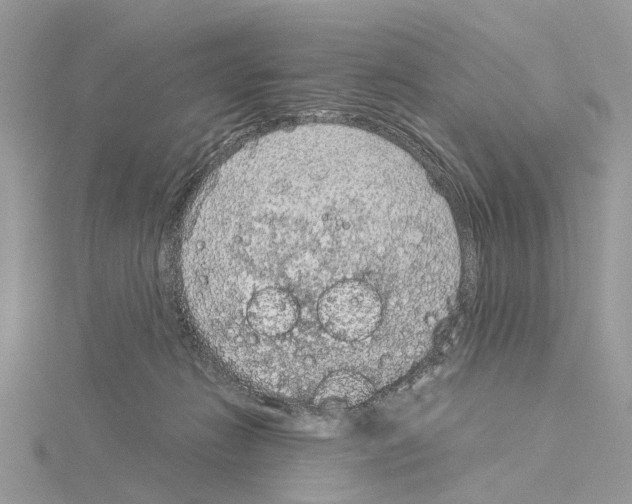 X0000115040270200912071115