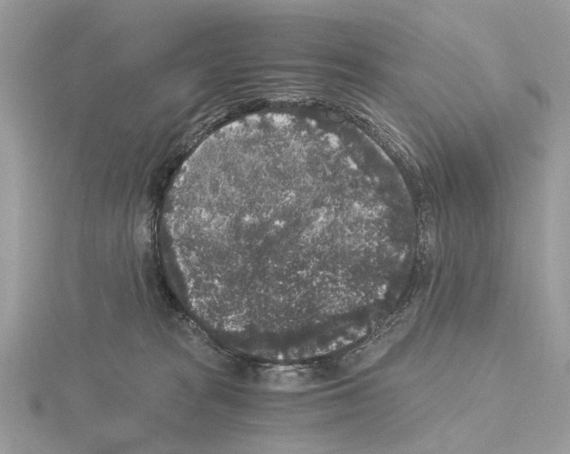 X0000115040277200912071115