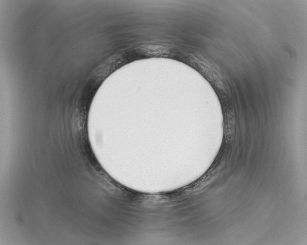 X0000115040281200912071116