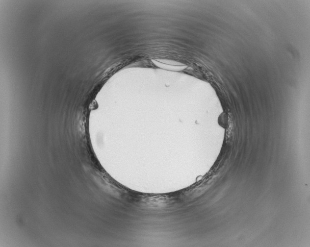 X0000115040282200912071116