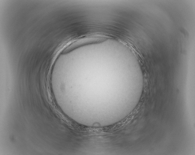 X0000115040289200912071115