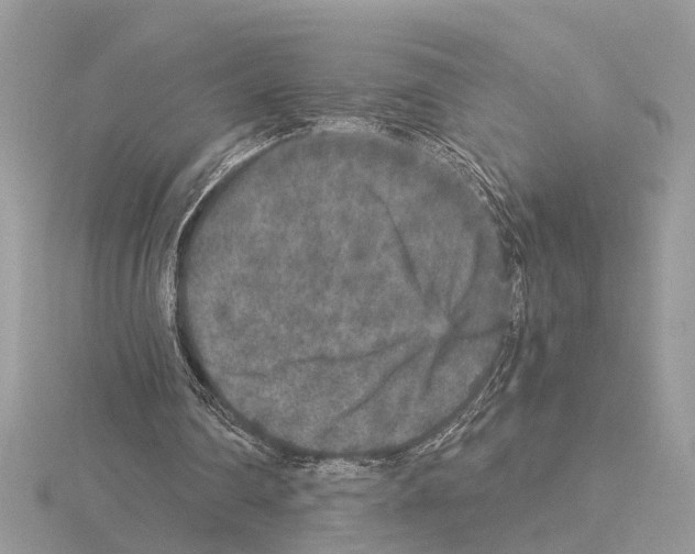 X0000115040290200912071115