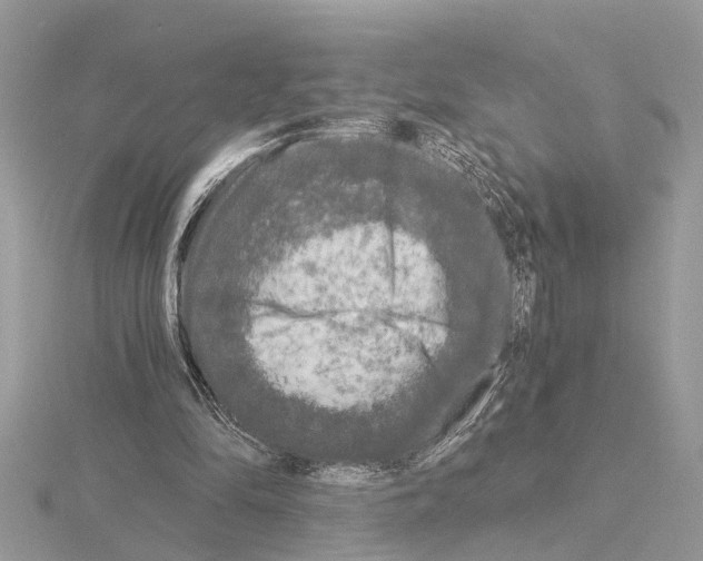 X0000115040294200912071115