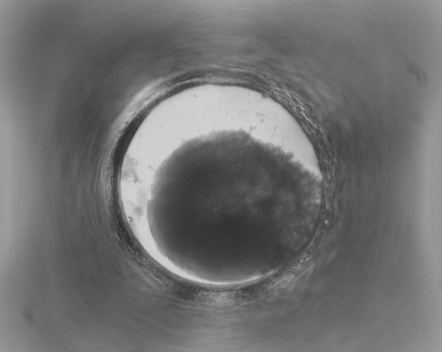 X0000115040295200912071115