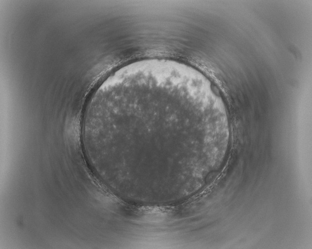 X0000115040297200912071115