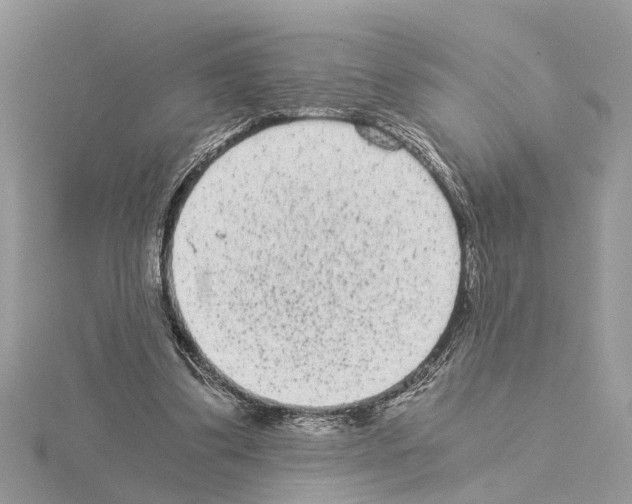 X0000115040299200912071115