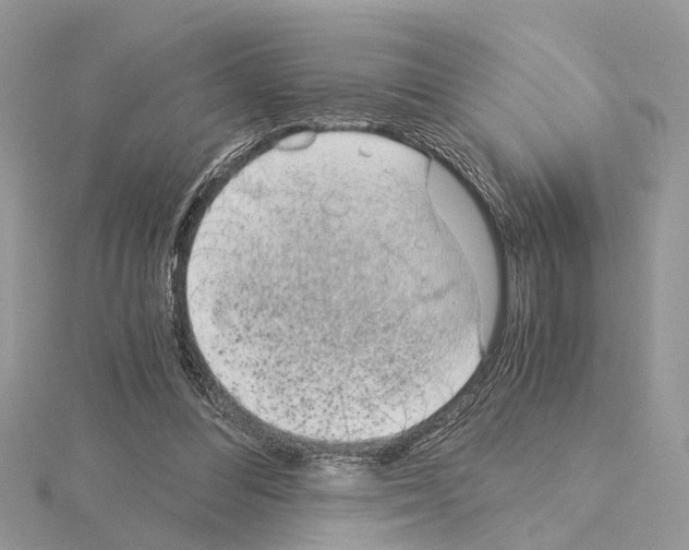 X0000115040300200912071115