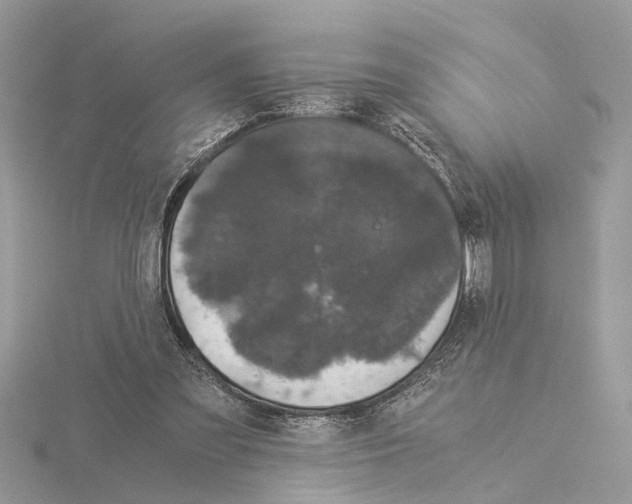 X0000115040301200912071115