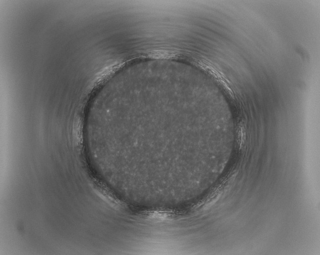 X0000115040303200912071115